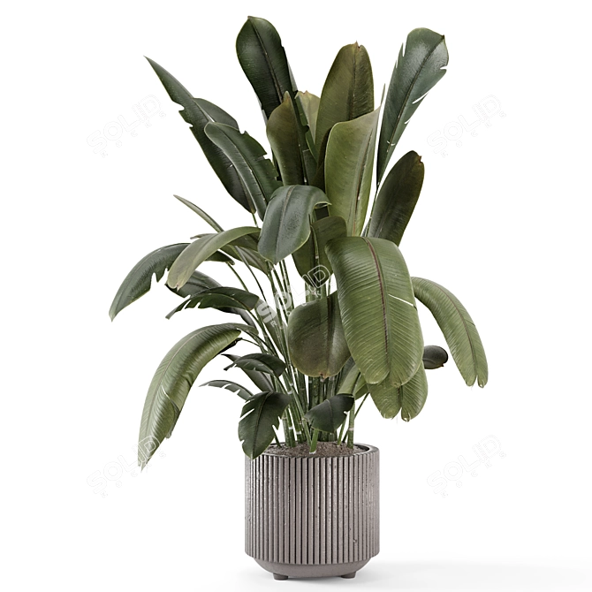 Handmade Stone Pot Indoor Plants 3D model image 5