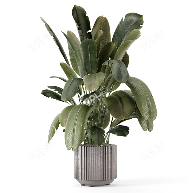 Handmade Stone Pot Indoor Plants 3D model image 6