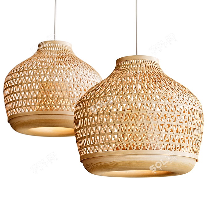Bamboo Pendant Lamp Handmade Ø45 3D model image 1