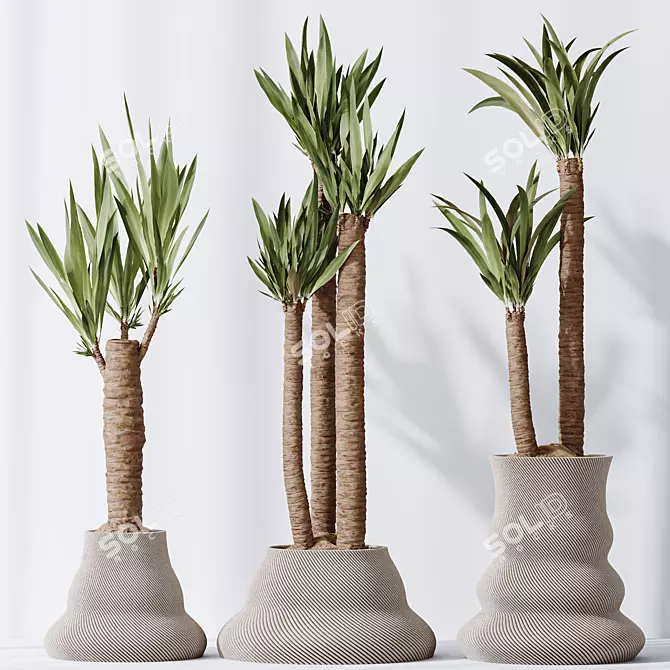 Gigantea Yucca Vase Collection 3D model image 2