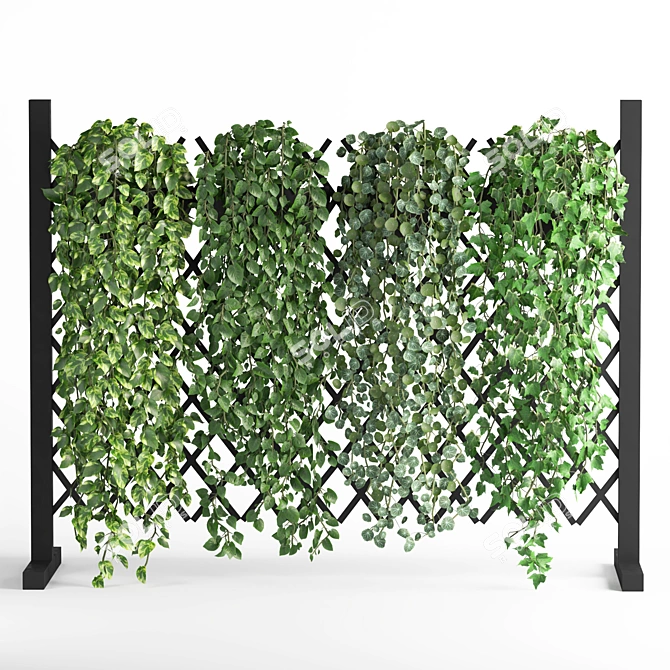 3D Vertical Green Wall Garden 3D model image 1