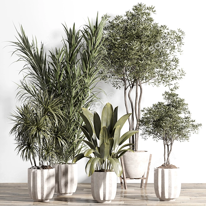 Unique Indoor Plant Set Model. 3D model image 1