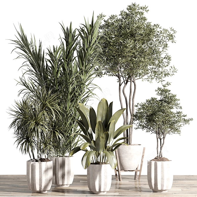 Unique Indoor Plant Set Model. 3D model image 3