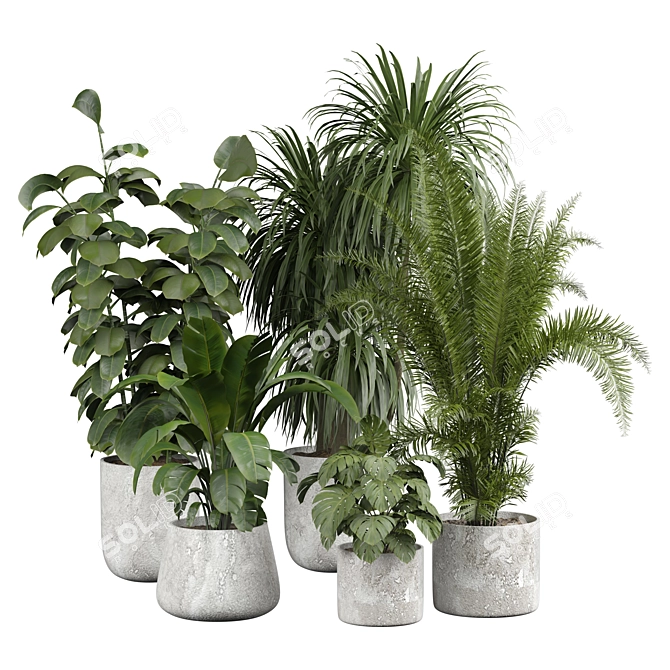 Modern Indoor Plant 3D Model 3D model image 1