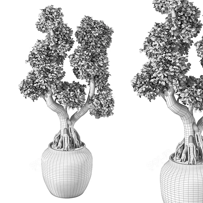 Zen Bonsai Tree Plant Sculpture 3D model image 5