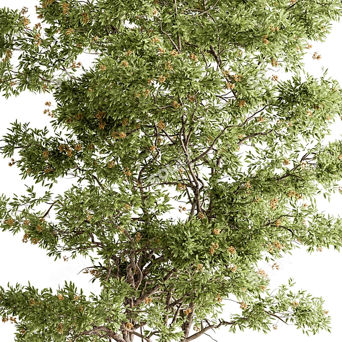 Plush Velvet Ash Tree Set 3D model image 2