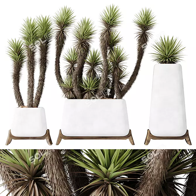 Luxury Yucca Plant Trio Set 3D model image 1