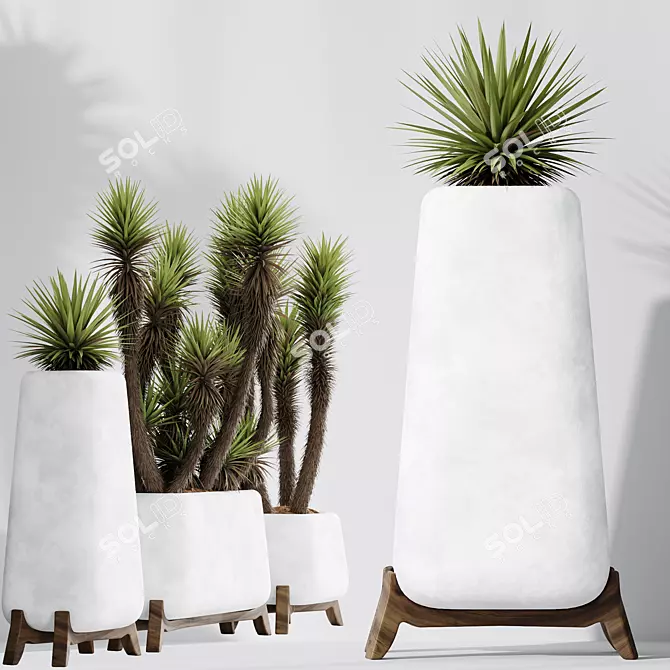 Luxury Yucca Plant Trio Set 3D model image 2