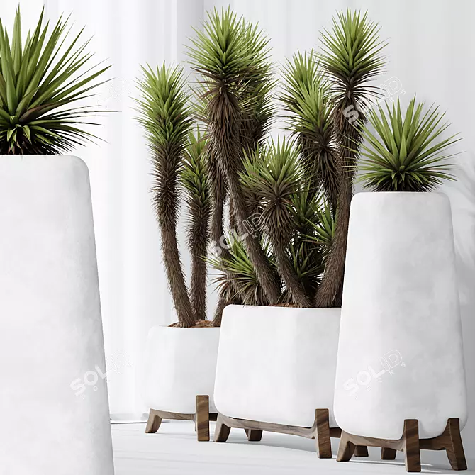 Luxury Yucca Plant Trio Set 3D model image 4