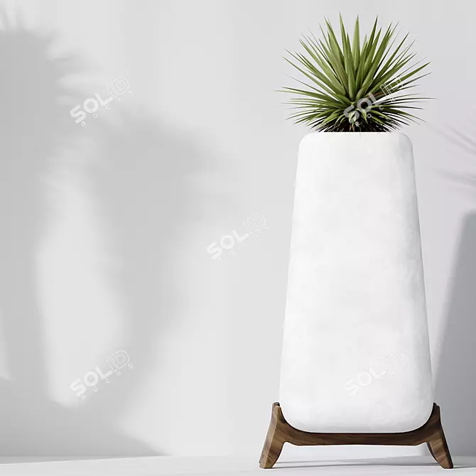 Luxury Yucca Plant Trio Set 3D model image 5