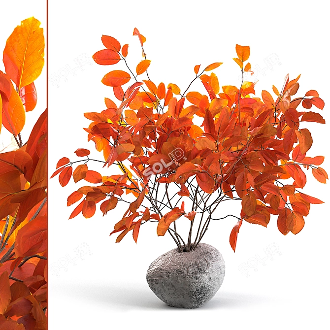 Elegant Branches in Vases 3D model image 1