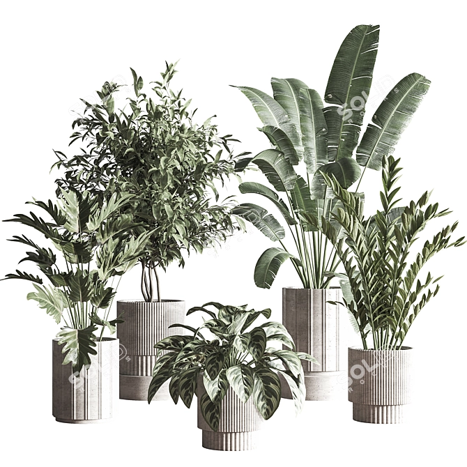  Modern Indoor Plant Set 3D model image 1