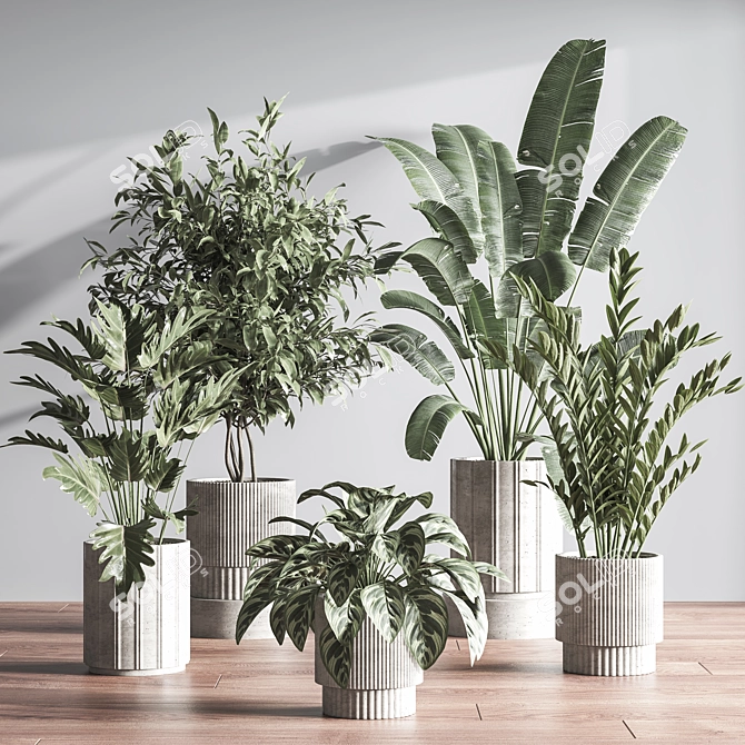  Modern Indoor Plant Set 3D model image 2