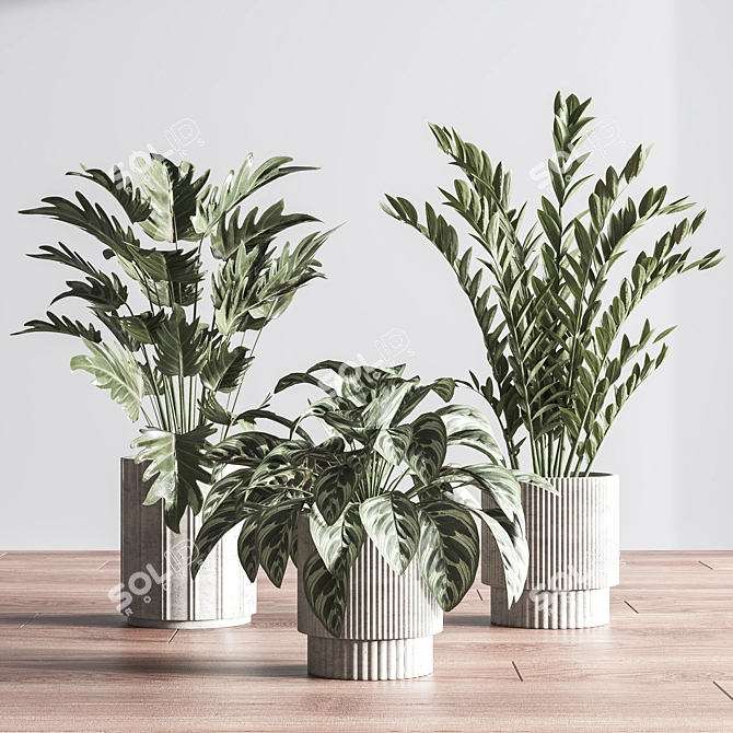  Modern Indoor Plant Set 3D model image 3