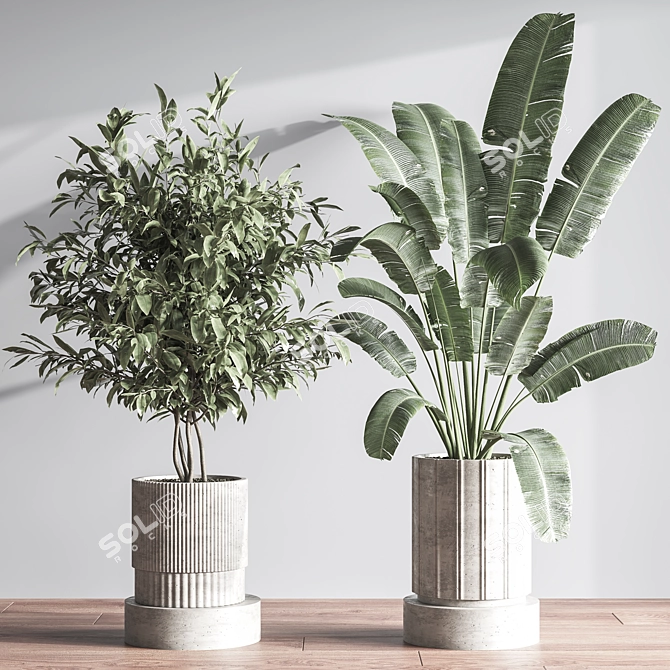  Modern Indoor Plant Set 3D model image 4