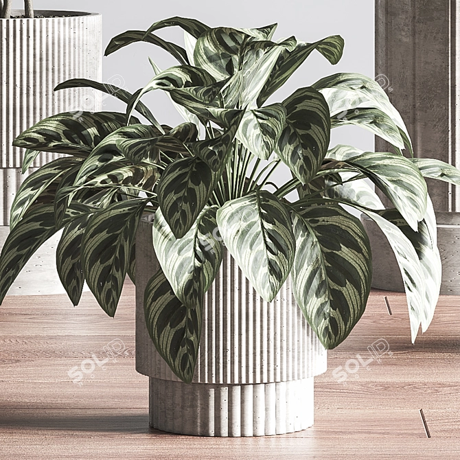  Modern Indoor Plant Set 3D model image 5