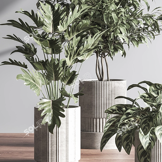  Modern Indoor Plant Set 3D model image 7