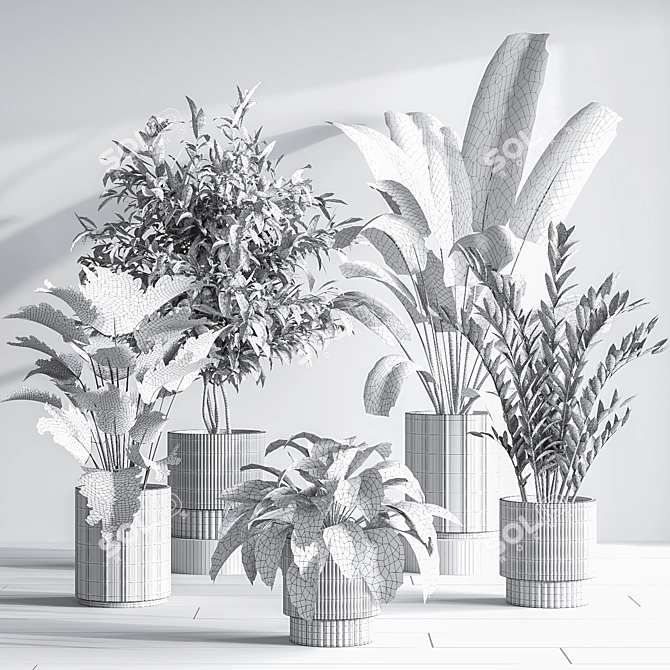  Modern Indoor Plant Set 3D model image 8