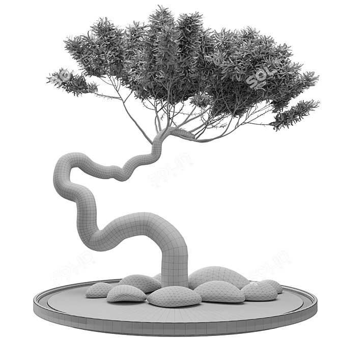 Artistic Bonsai Tree Model 3D model image 3