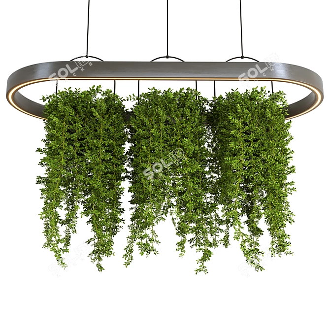 Hanging Plants Set for 3dsMax 3D model image 3