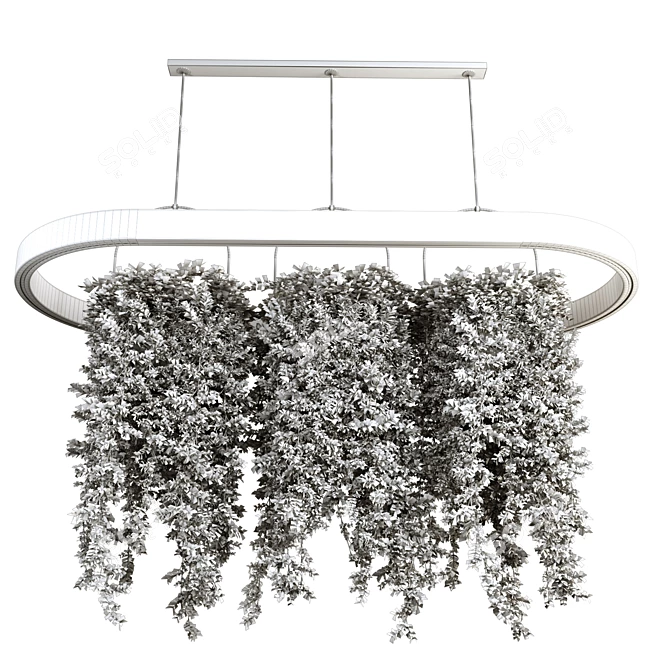 Hanging Plants Set for 3dsMax 3D model image 4