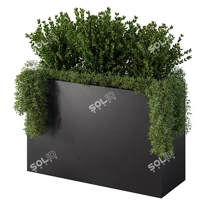 Extra-Large Outdoor Plants No.38 3D model image 1