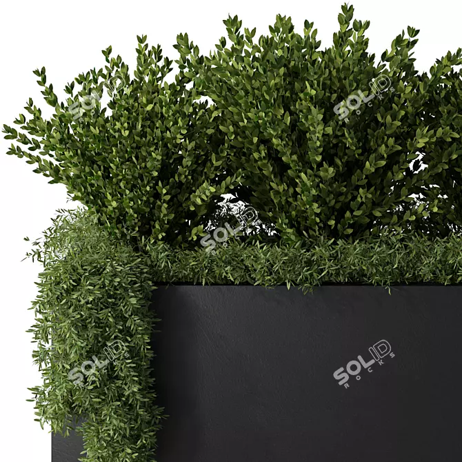 Extra-Large Outdoor Plants No.38 3D model image 2