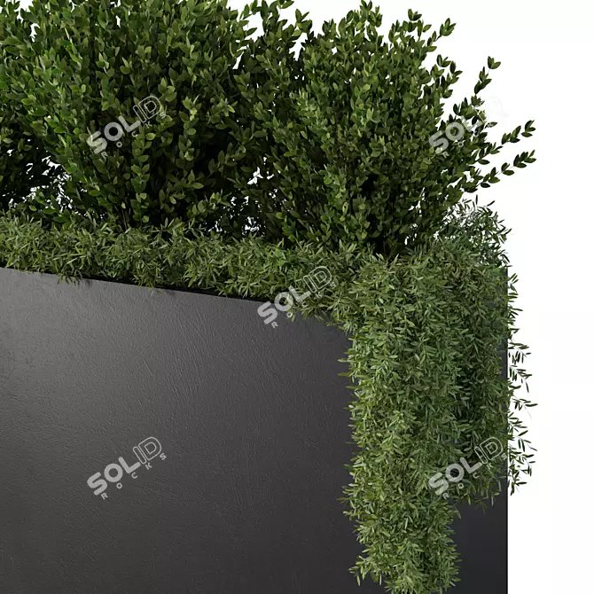 Extra-Large Outdoor Plants No.38 3D model image 3