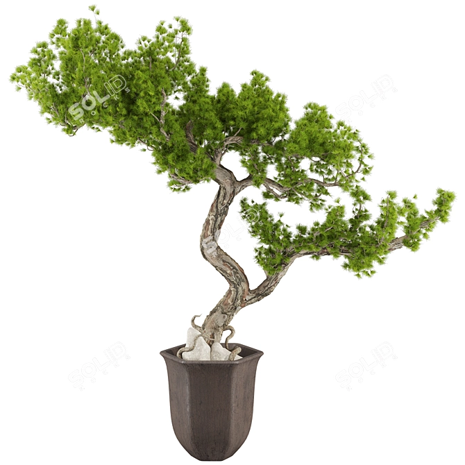 Max 2015 Bonsai Set UV Unwrap 3D model image 1