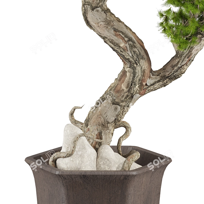 Max 2015 Bonsai Set UV Unwrap 3D model image 3