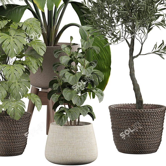 Modern Indoor Plant 3D Model 3D model image 2