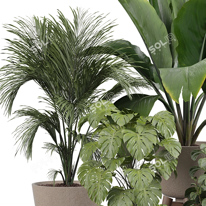 Modern Indoor Plant 3D Model 3D model image 3