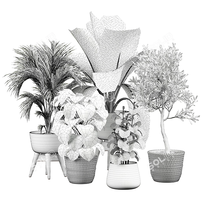 Modern Indoor Plant 3D Model 3D model image 4