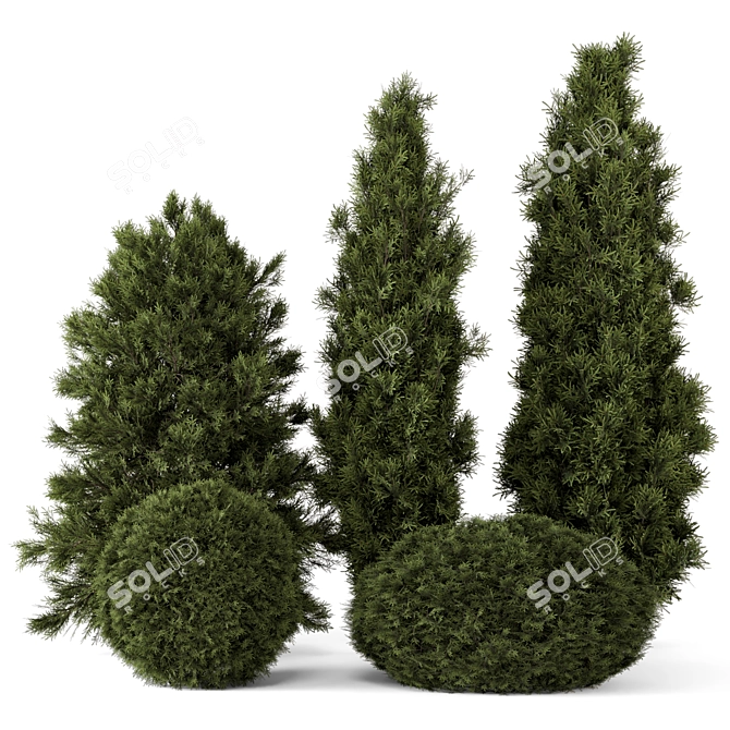 Outdoor Pine Tree Bush Model 3D model image 1