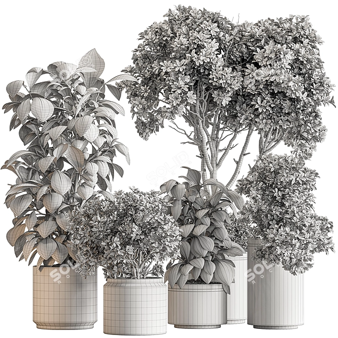 Botanical Elegance: Indoor Tree Display 3D model image 5