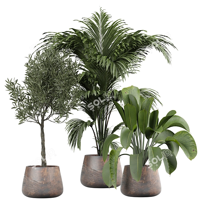 Stylish Indoor Plant 3D Model 3D model image 1