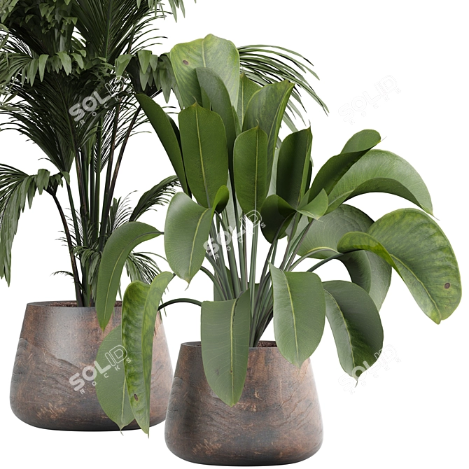 Stylish Indoor Plant 3D Model 3D model image 2