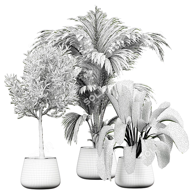 Stylish Indoor Plant 3D Model 3D model image 4