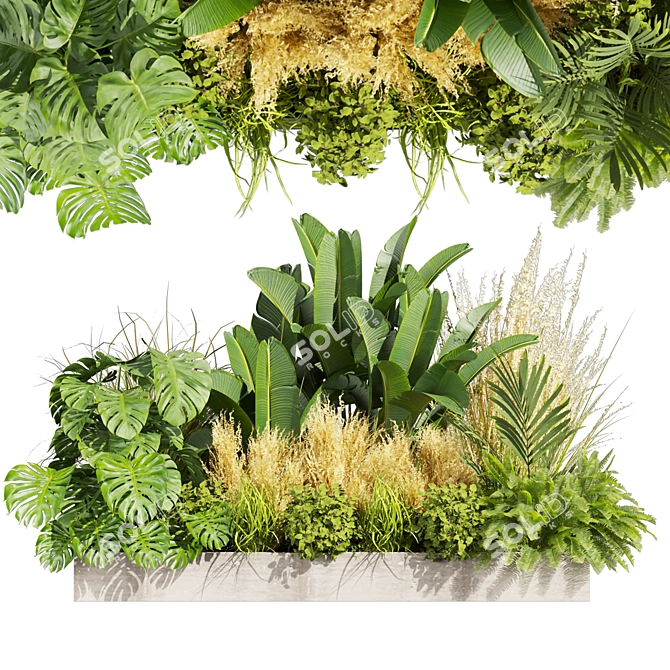 Premium Plant Collection Vol.539 3D model image 1