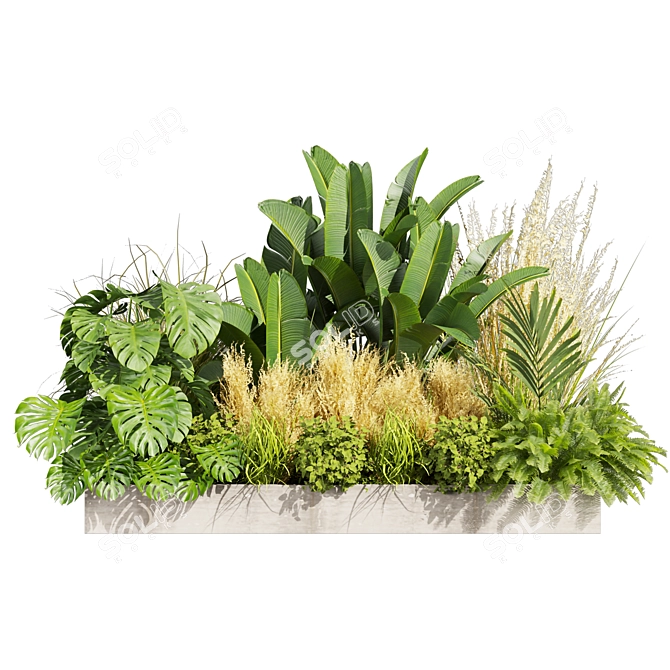 Premium Plant Collection Vol.539 3D model image 2