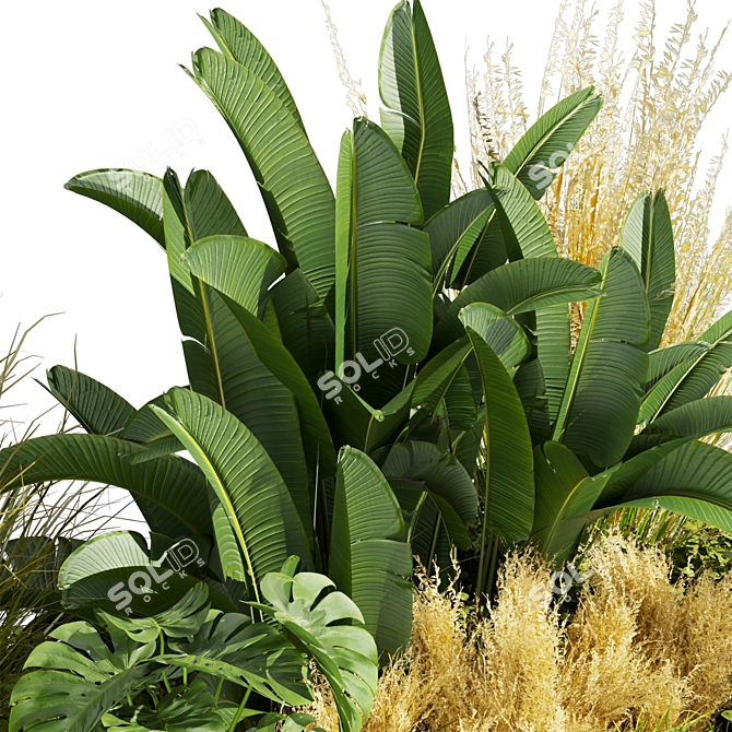 Premium Plant Collection Vol.539 3D model image 3
