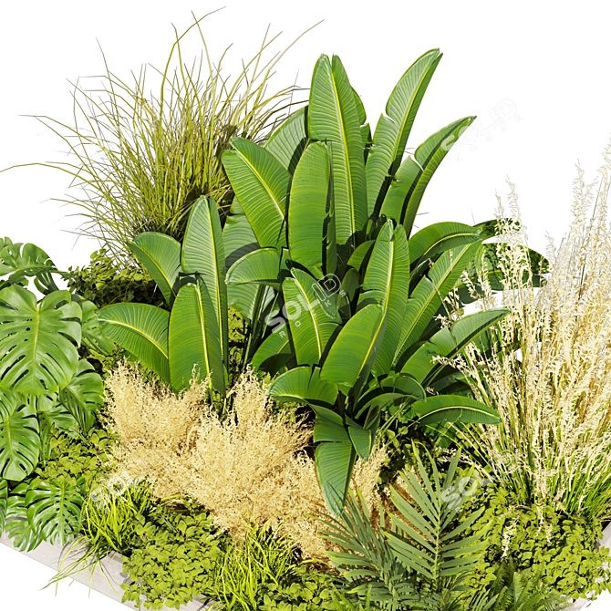 Premium Plant Collection Vol.539 3D model image 4
