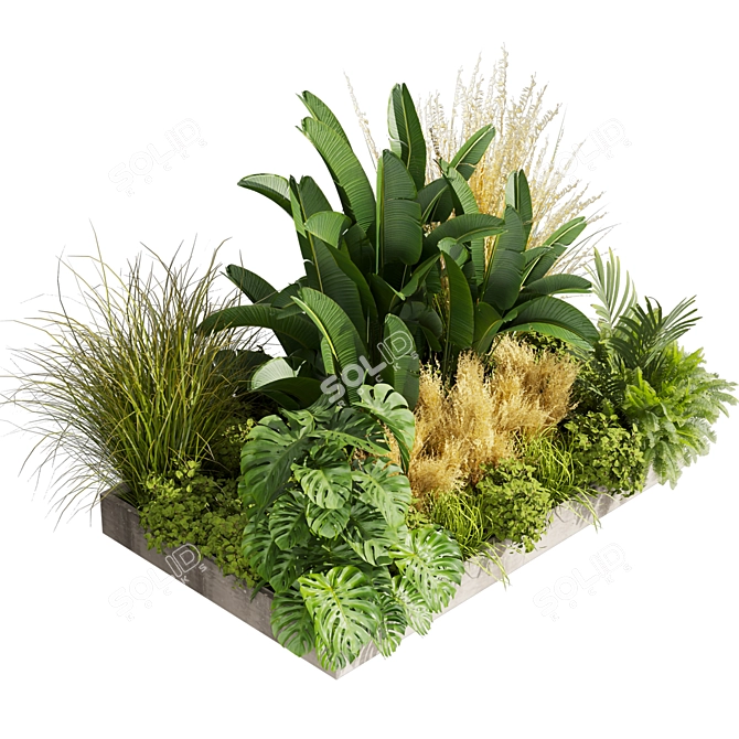 Premium Plant Collection Vol.539 3D model image 5