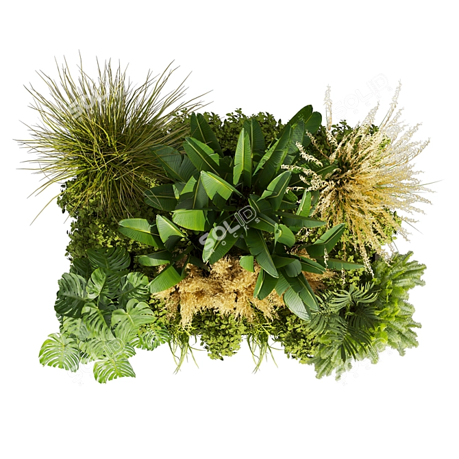 Premium Plant Collection Vol.539 3D model image 6
