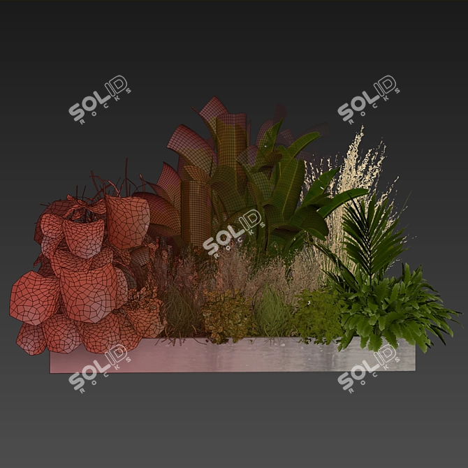Premium Plant Collection Vol.539 3D model image 7