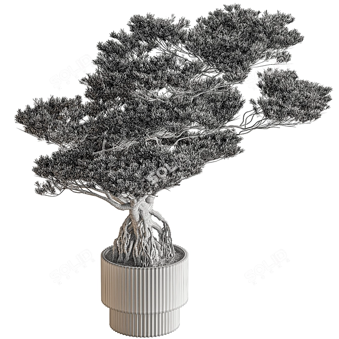 Zen Bonsai Plant - Indoor 3D model image 3