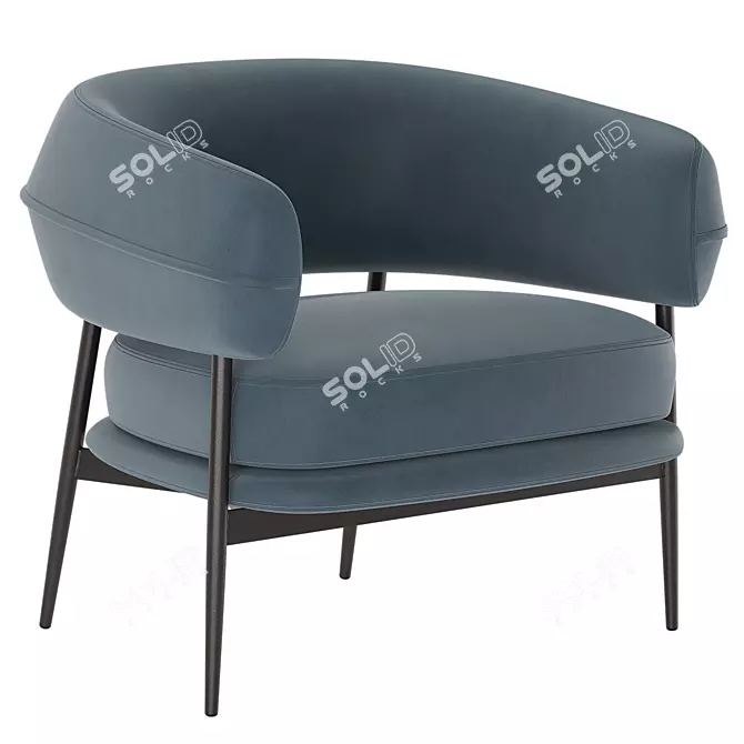 Nena Lounge Zanotta Armchair: Ergonomic Luxury 3D model image 5