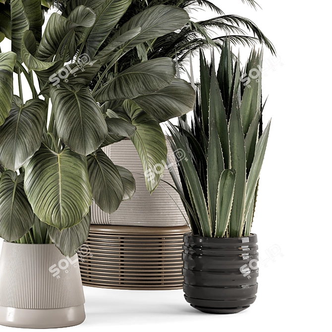 Bau Pot Large: Indoor Greenery 3D model image 5