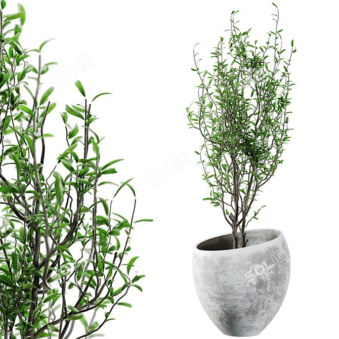 Concrete and Plaster Potted Live Plant 3D model image 1