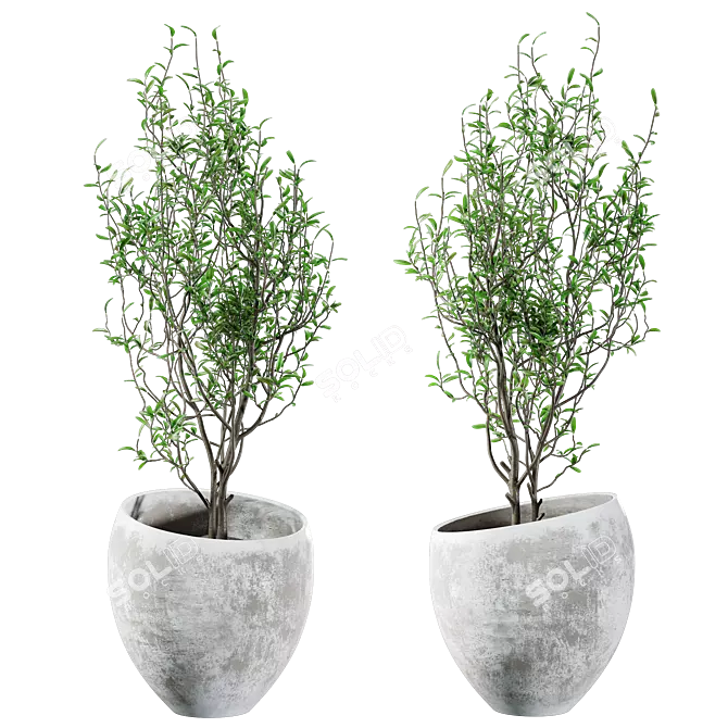 Concrete and Plaster Potted Live Plant 3D model image 2